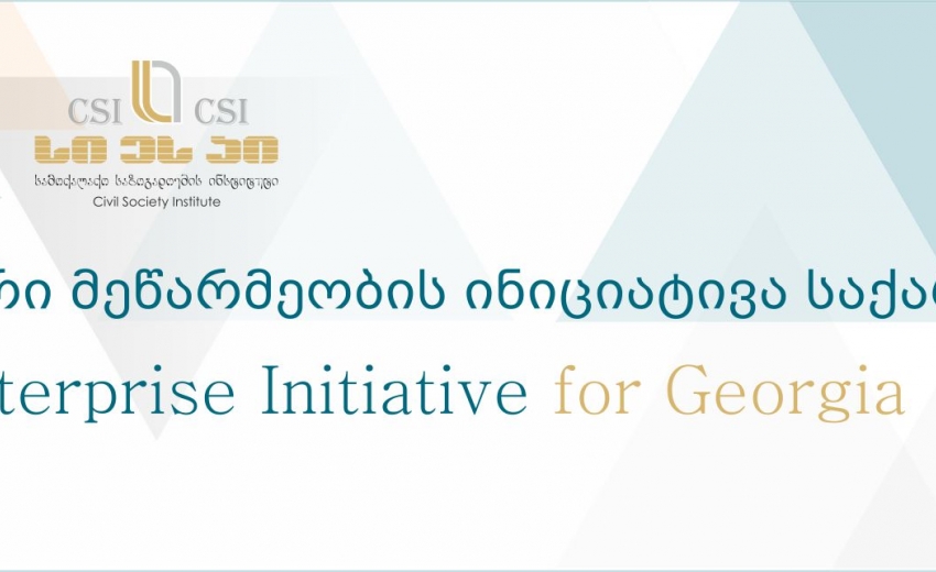 Social Enterprise Initiative for Georgia
